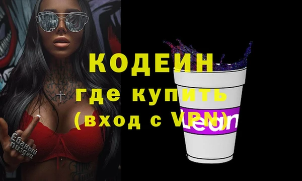шишки Нягань
