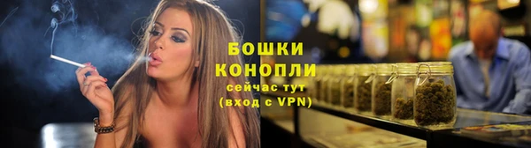 шишки Нягань