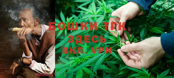 трава Новодвинск
