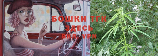 шишки Нягань