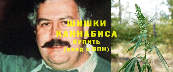 метадон Новозыбков