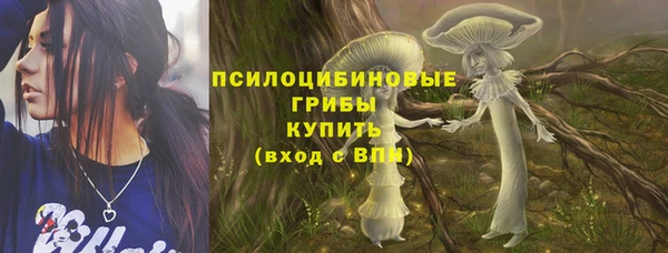 мескалин Няндома